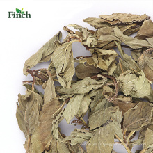 Finch Nouvelle arrivée Herb Tea Dry Mint Feuille entière